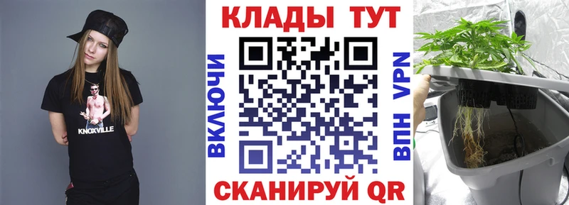 Продажа наркотиков Камень-на-Оби Альфа ПВП  МЕТАДОН  Мефедрон  Галлюциногенные грибы  ГАШИШ  Амфетамин  Cocaine 