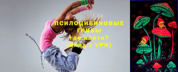 индика Бородино