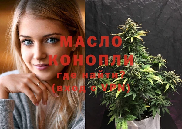 индика Бородино