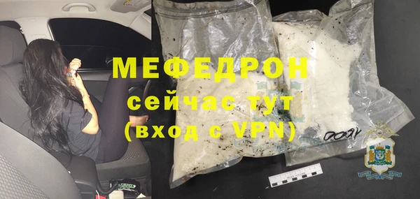 индика Бородино