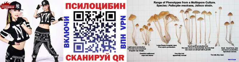 купить   Камень-на-Оби  Псилоцибиновые грибы прущие грибы 